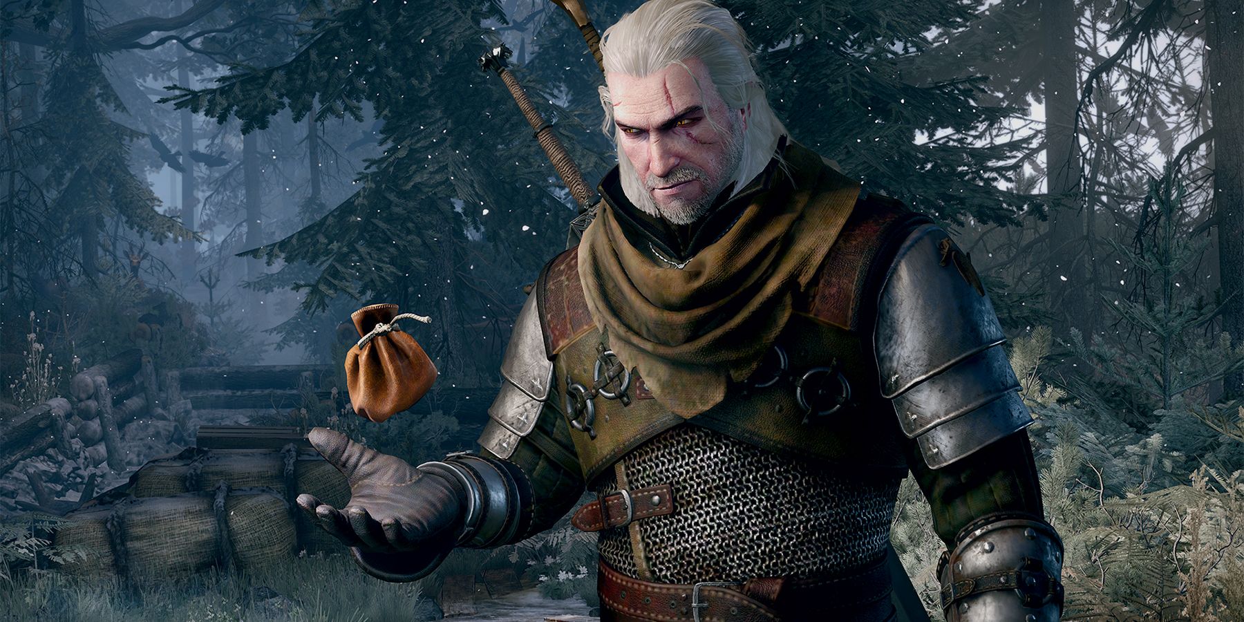Geralt from The Witcher tossing a coin purse