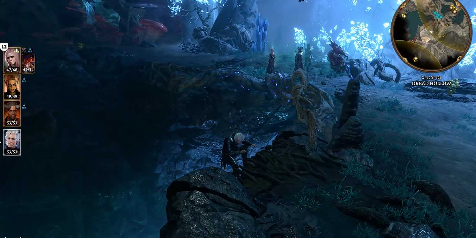 go down the knotted roots in baldurs gate 3