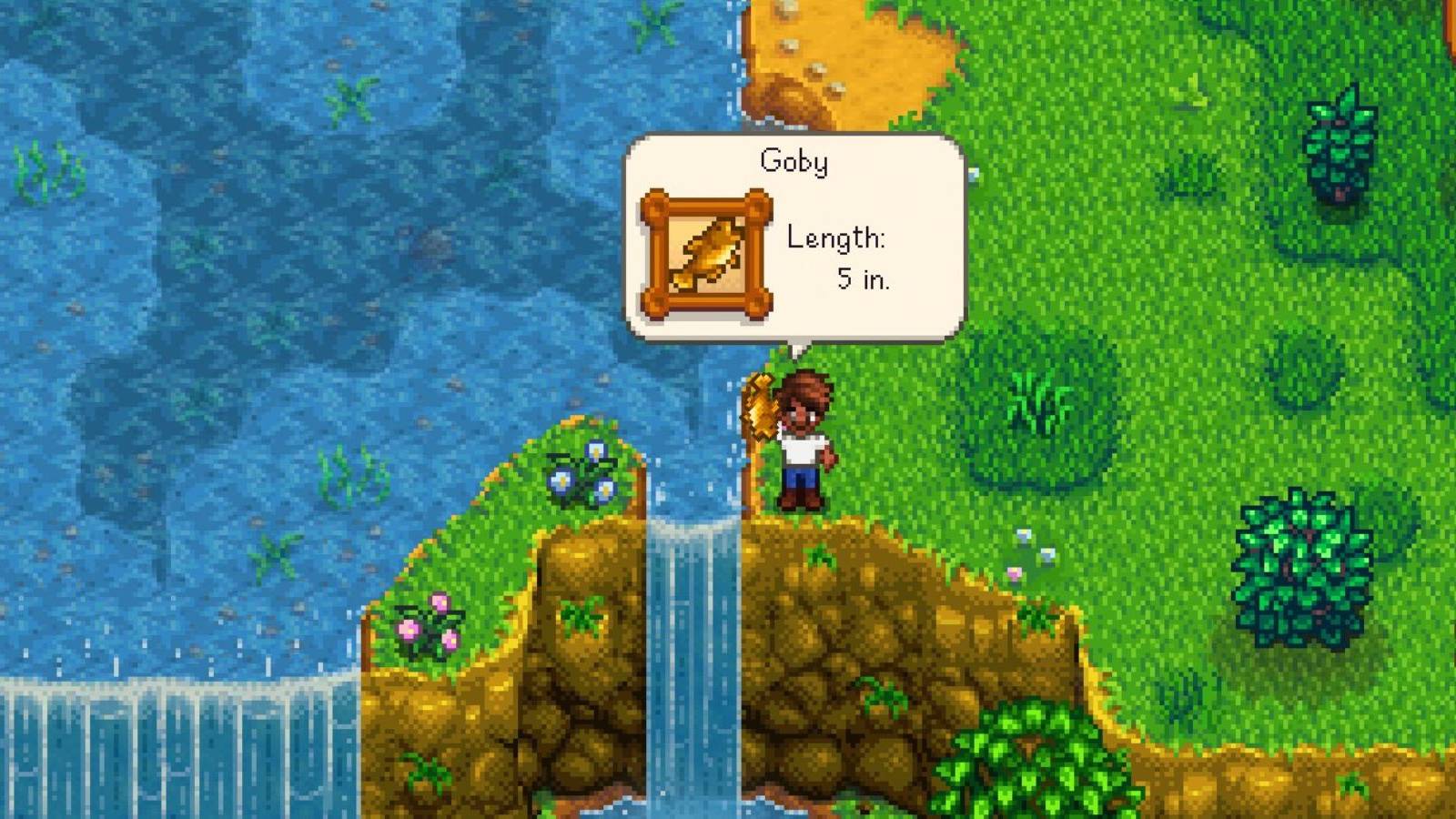 goby fish stardew valley