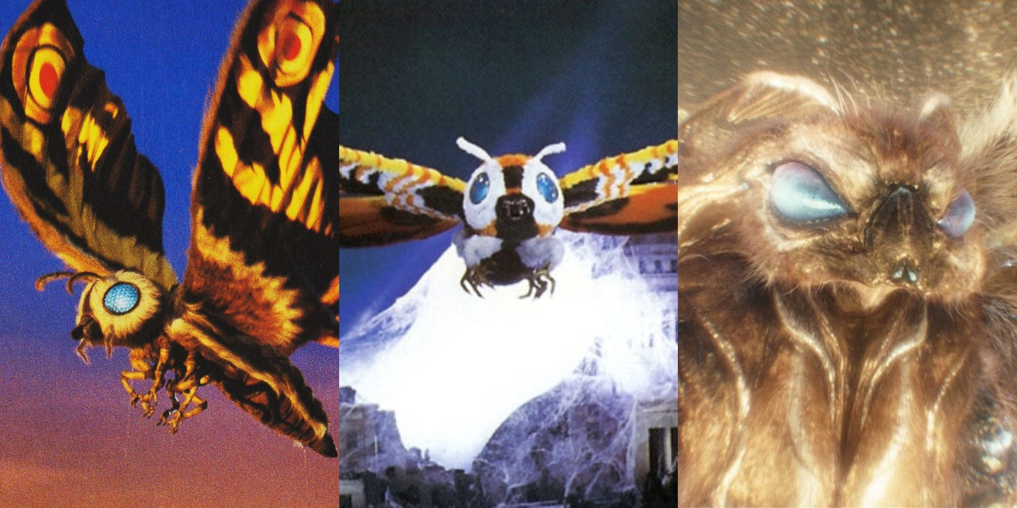 A collage with some notable versions of Mothra, from Tokyo SOS, Godzilla vs. Mothra and the Monsterverse.