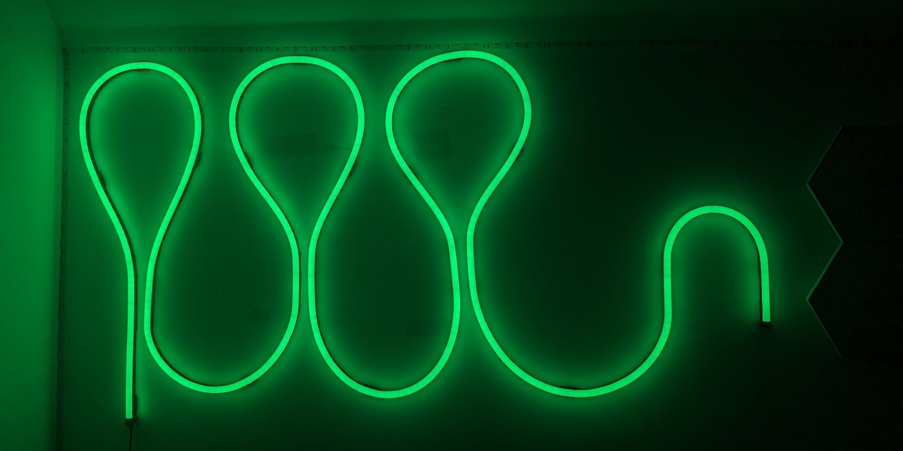 Govee Neon Rope Light 2 Conclusion