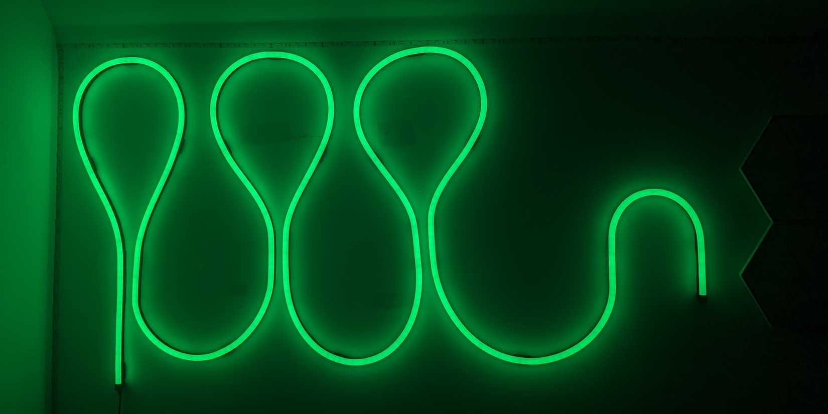Govee Neon Rope Light 2 Conclusion