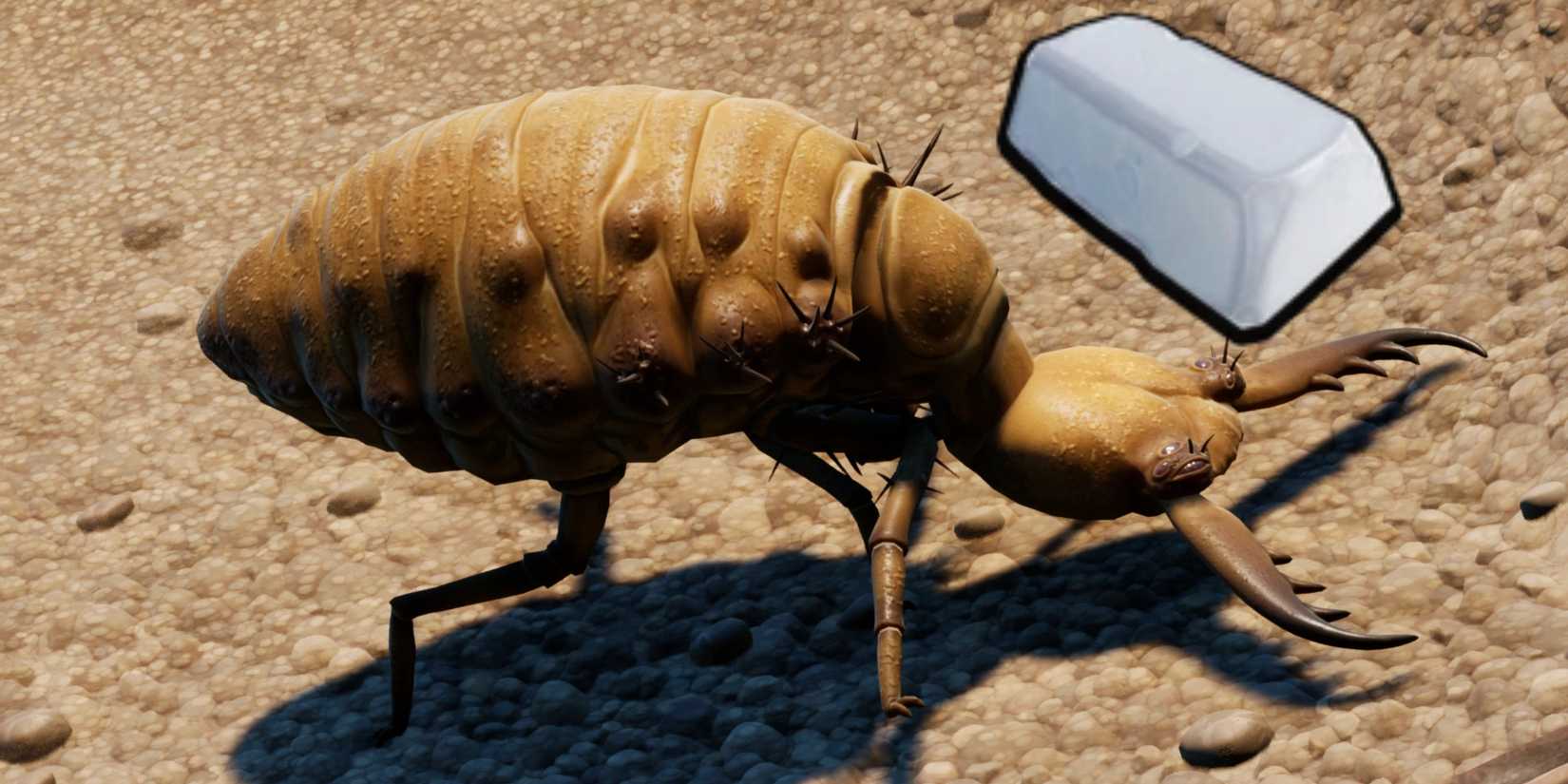 An Antlion in Grounded next to a Salt Glob