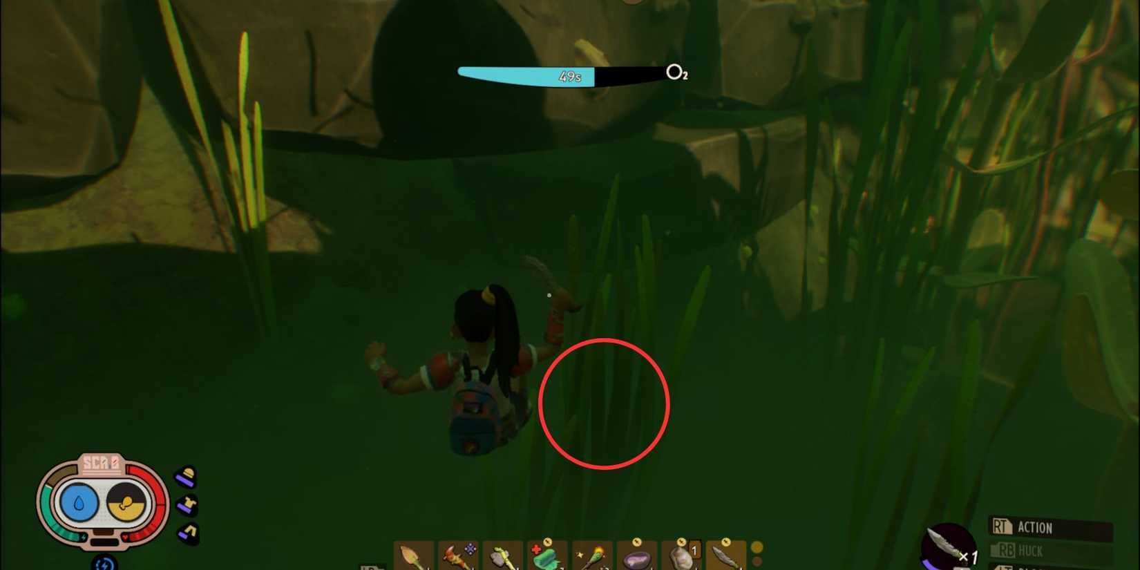 grounded eelgrass strand location