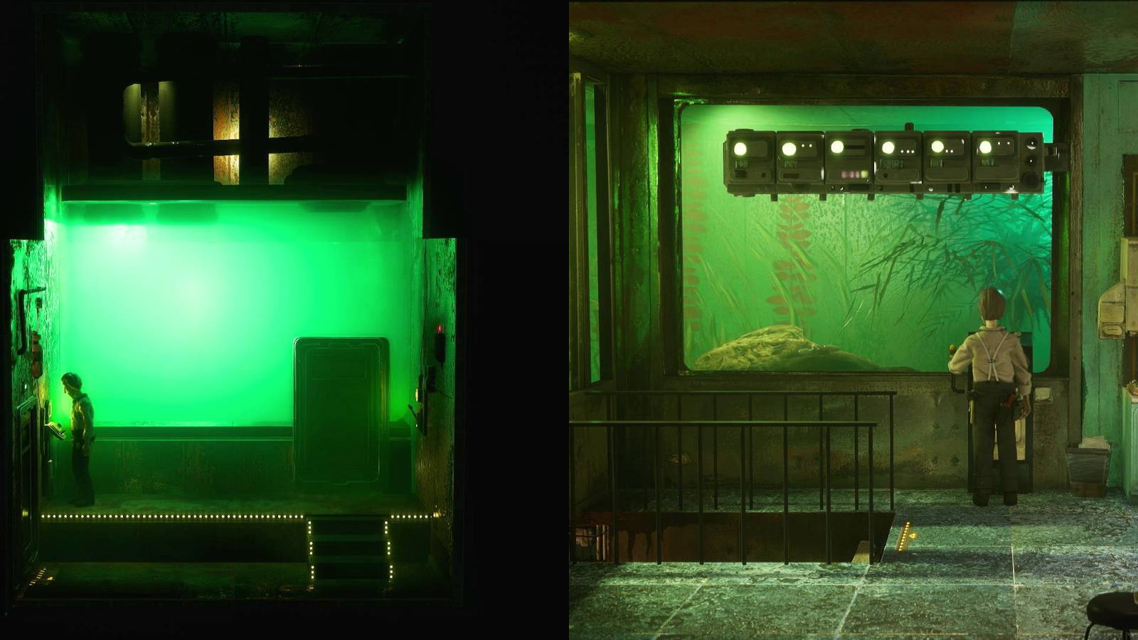 harold halibut clean filter station feed fish