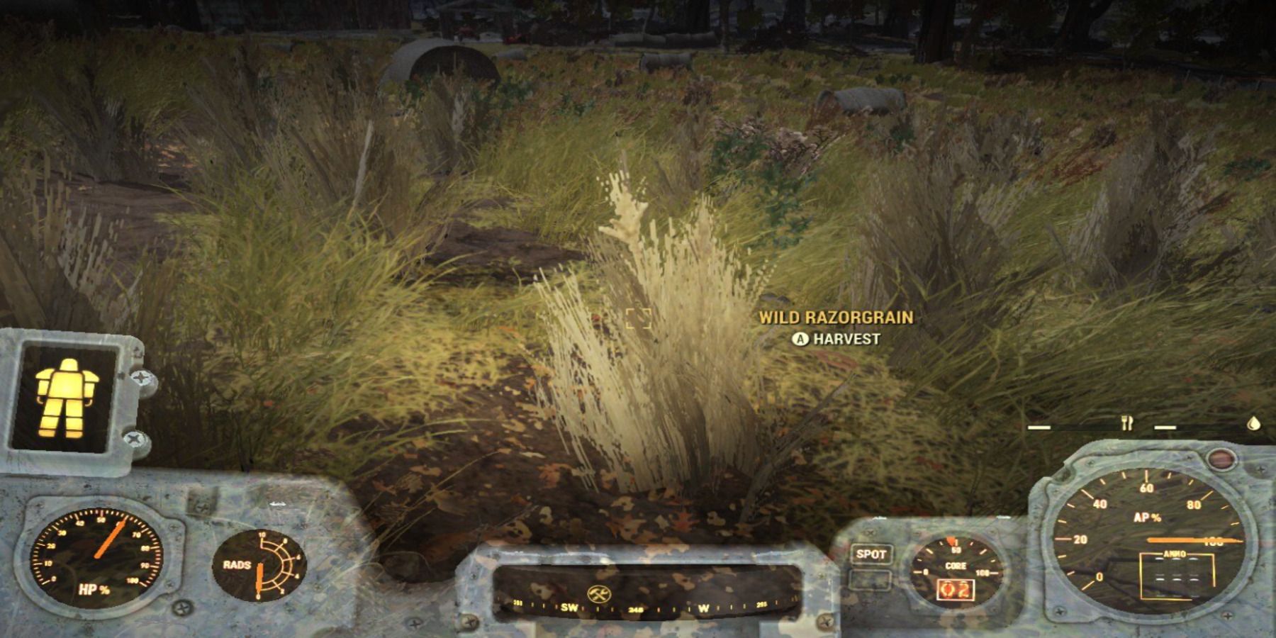 Harvesting Razorgrain in Fallout 76