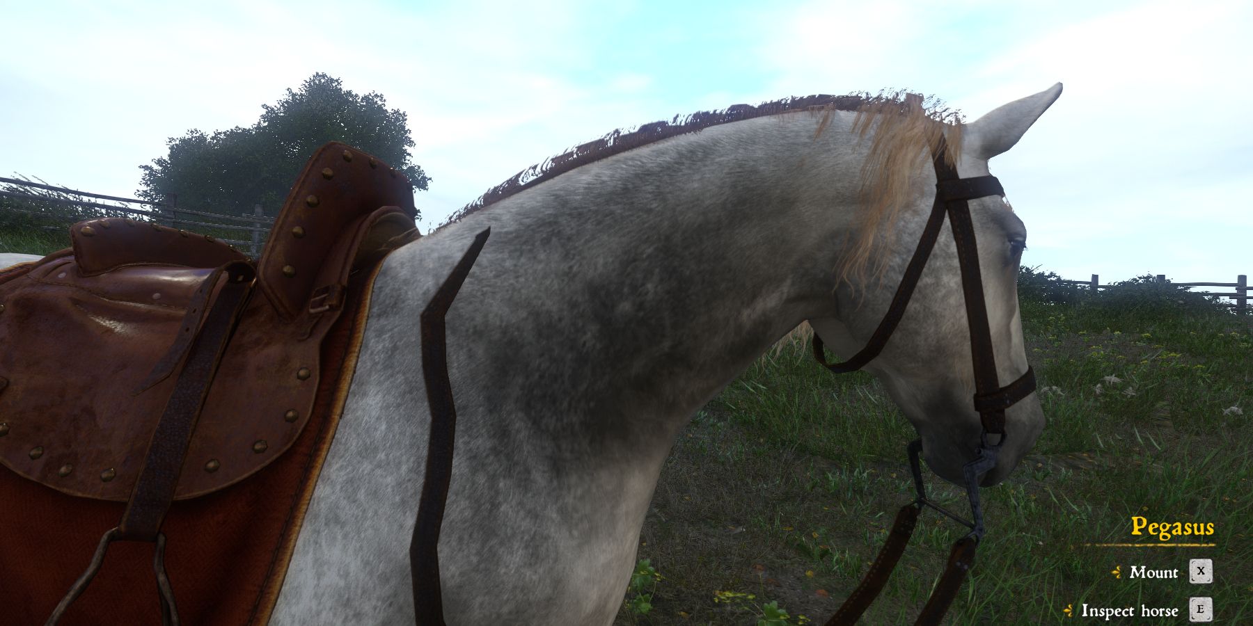 Pegasus horse mount in Kingdom Come: Deliverance