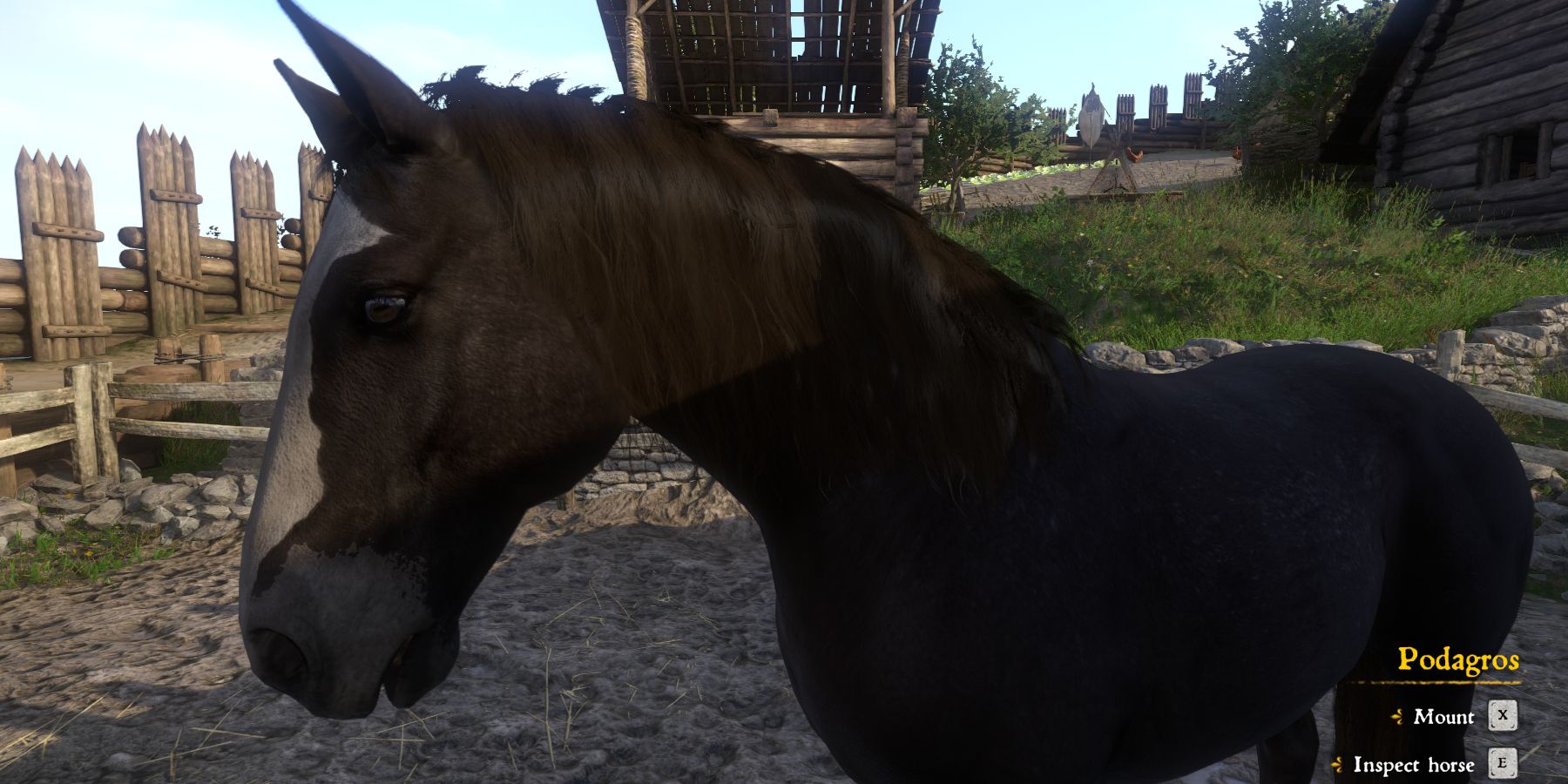 Podagros horse mount in Kingdom Come: Deliverance