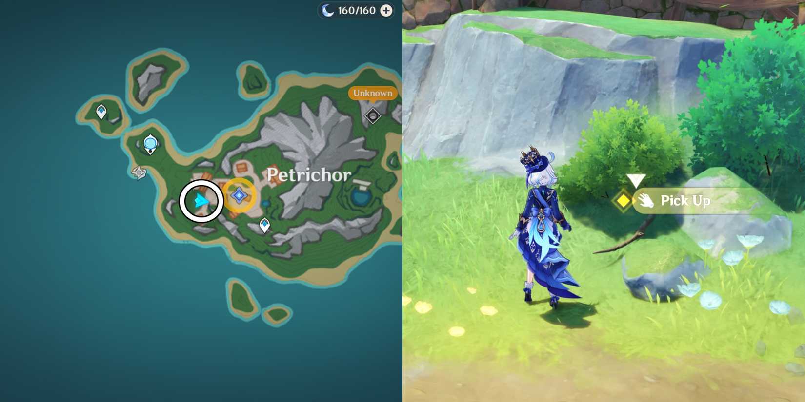 how to get ridiculously common branch location in genshin impact 1