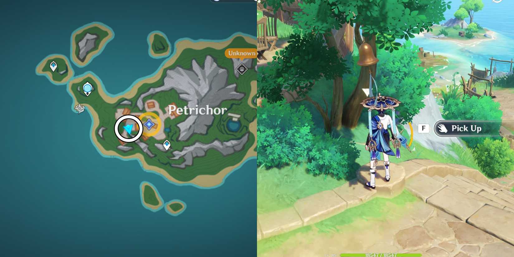 how to get ridiculously common branch location in genshin impact 3