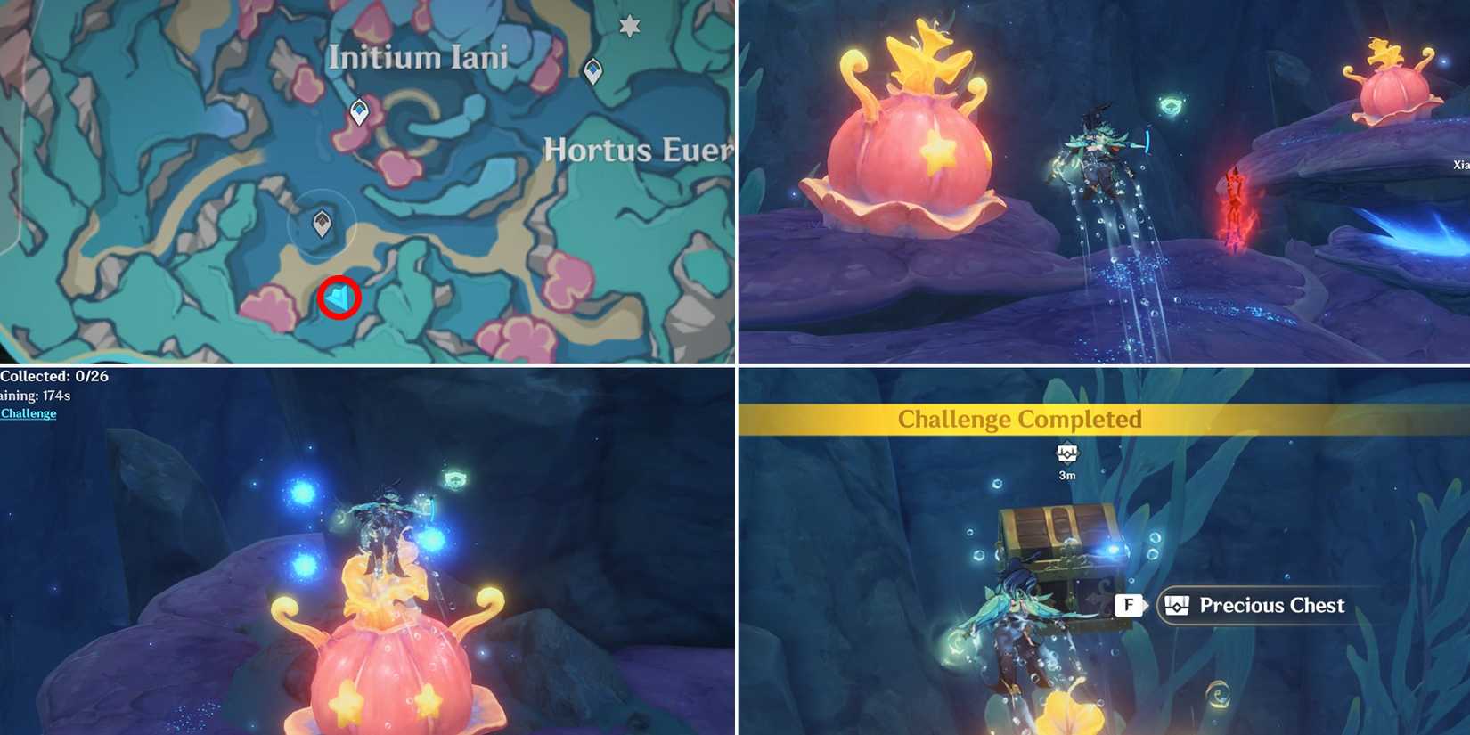 initium iani and hortus euergetis chest location 10 in genshin impact