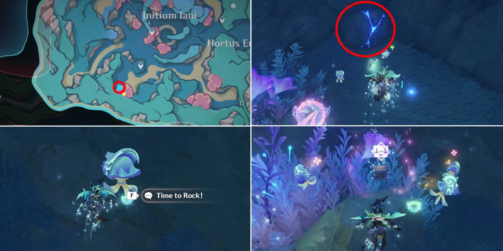 initium iani and hortus euergetis chest location 12 in genshin impact