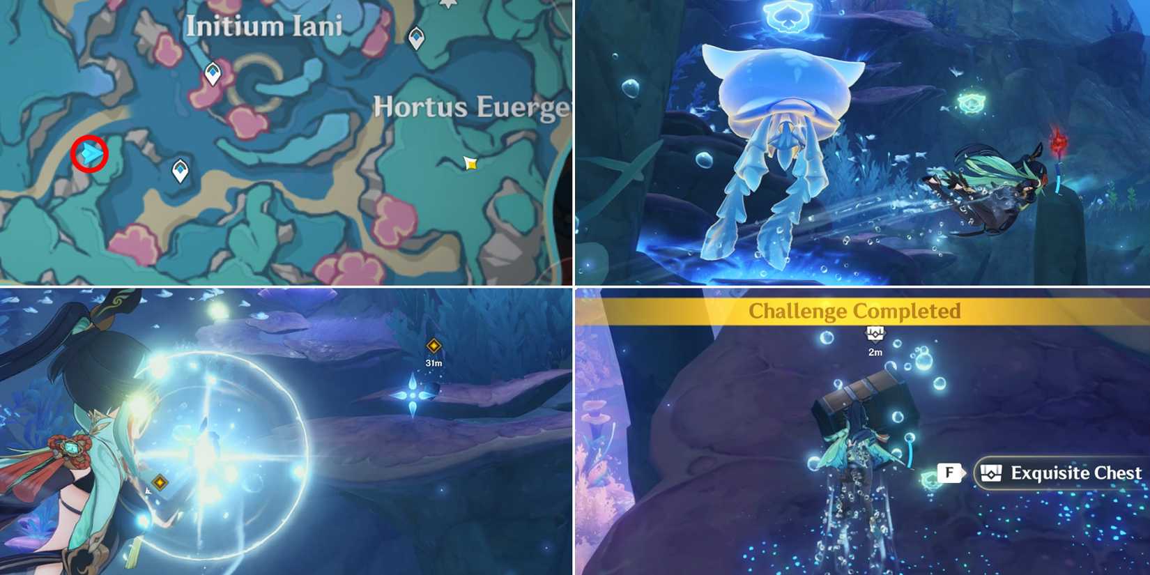 initium iani and hortus euergetis chest location 13 in genshin impact