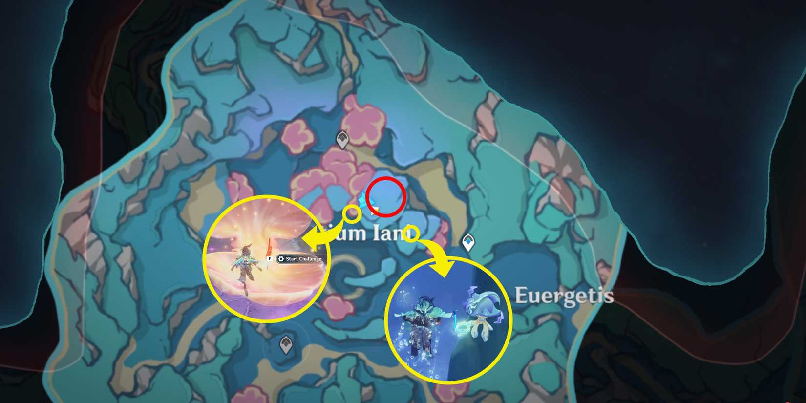initium iani and hortus euergetis chest location 2-3-4 in genshin impact
