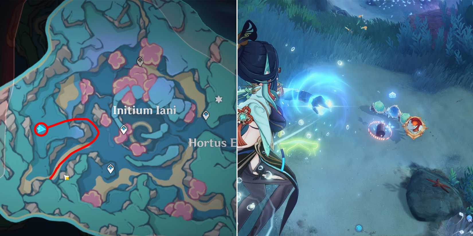 initium iani and hortus euergetis chest location 20 in genshin impact