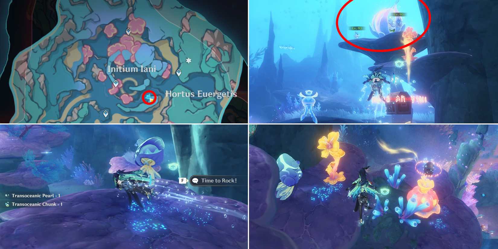 initium iani and hortus euergetis chest location 21 in genshin impact