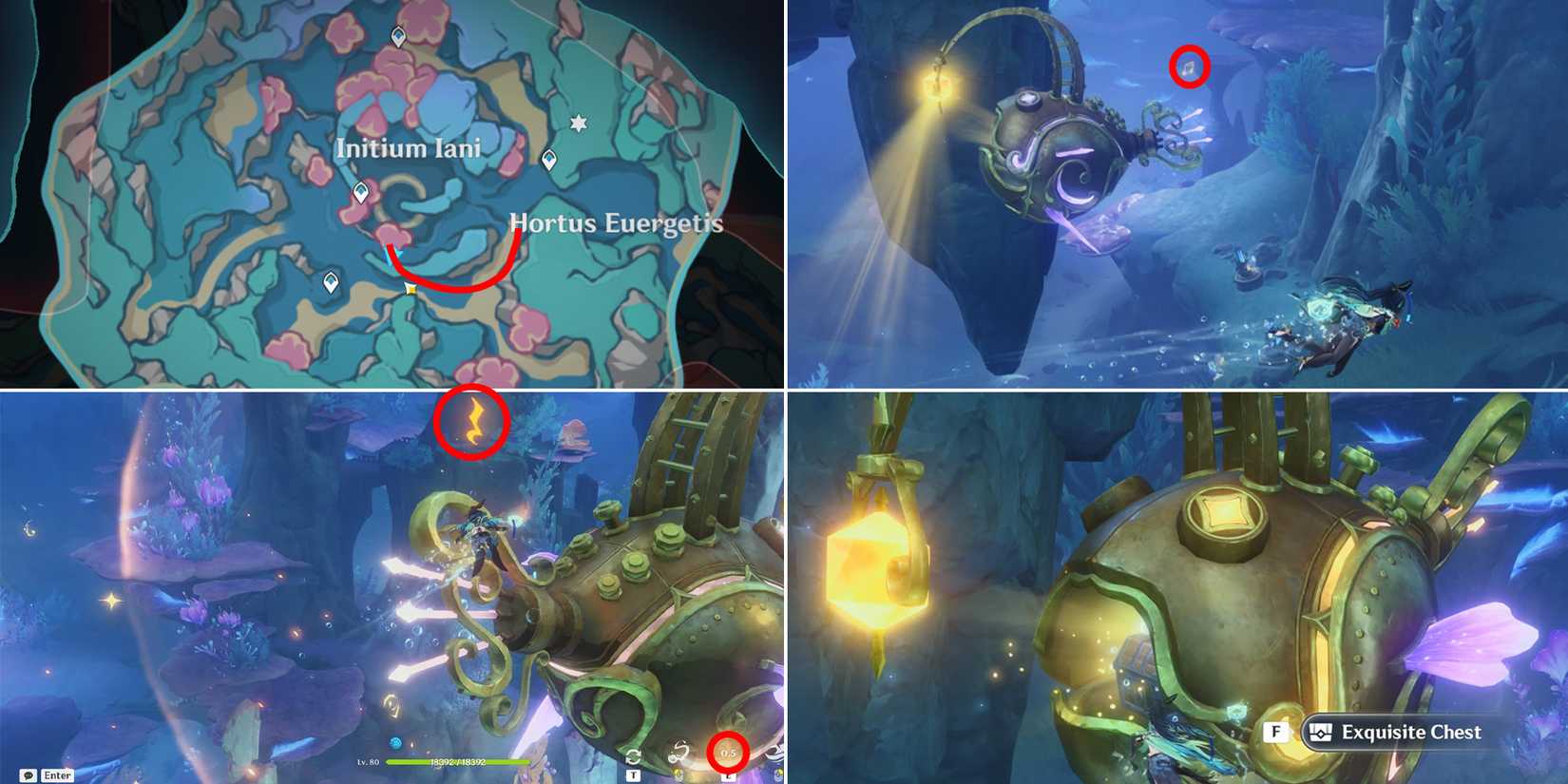 initium iani and hortus euergetis chest location 22 in genshin impact