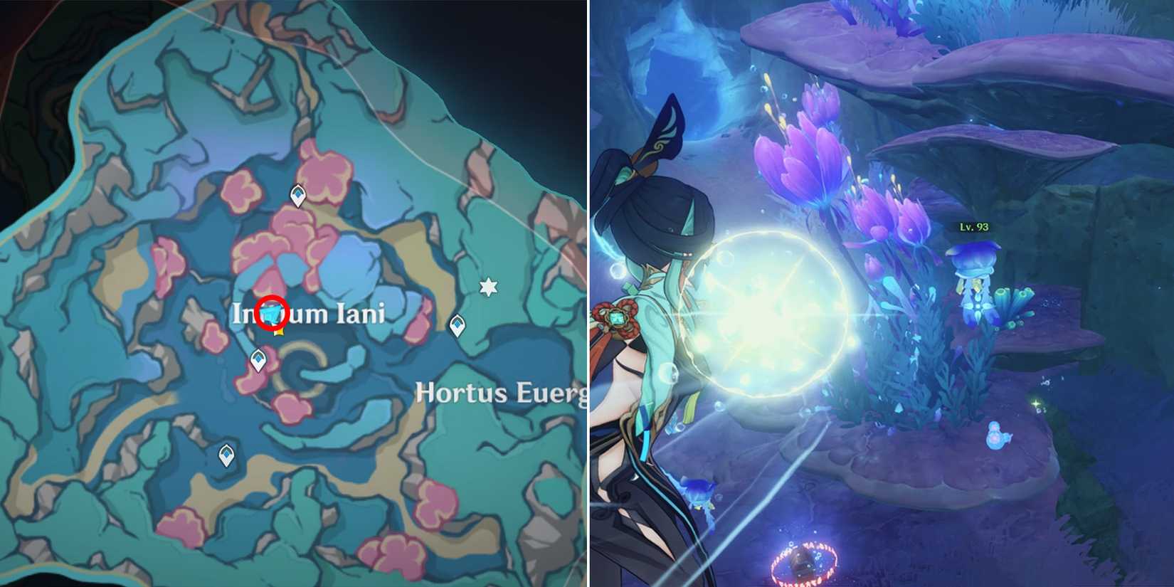 initium iani and hortus euergetis chest location 23 in genshin impact