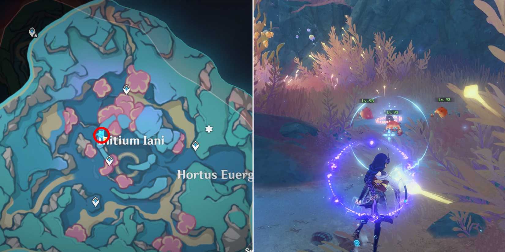 Genshin Impact: Initium Iani And Hortus Euergetis Chest Locations