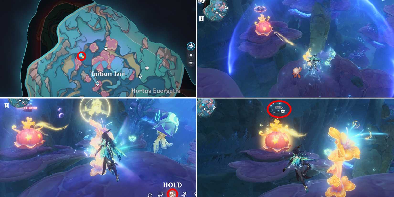 initium iani and hortus euergetis chest location 26 in genshin impact