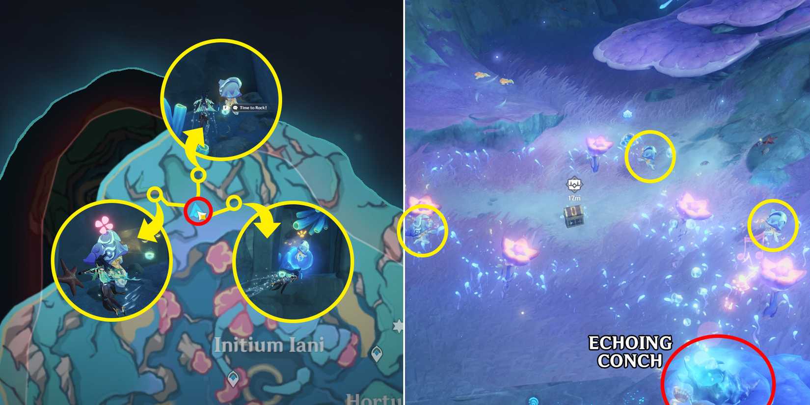 Genshin Impact: Initium Iani And Hortus Euergetis Chest Locations