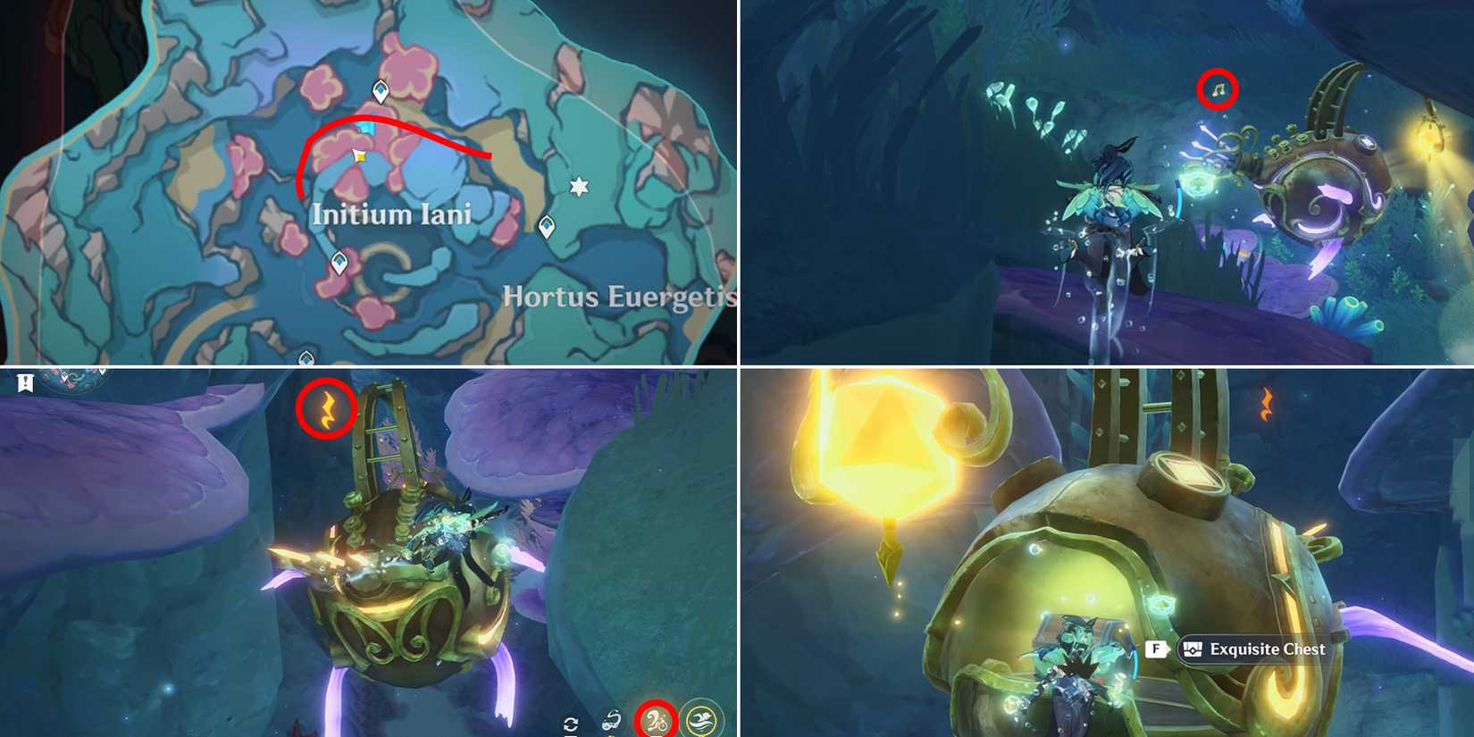 initium iani and hortus euergetis chest location 28 in genshin impact
