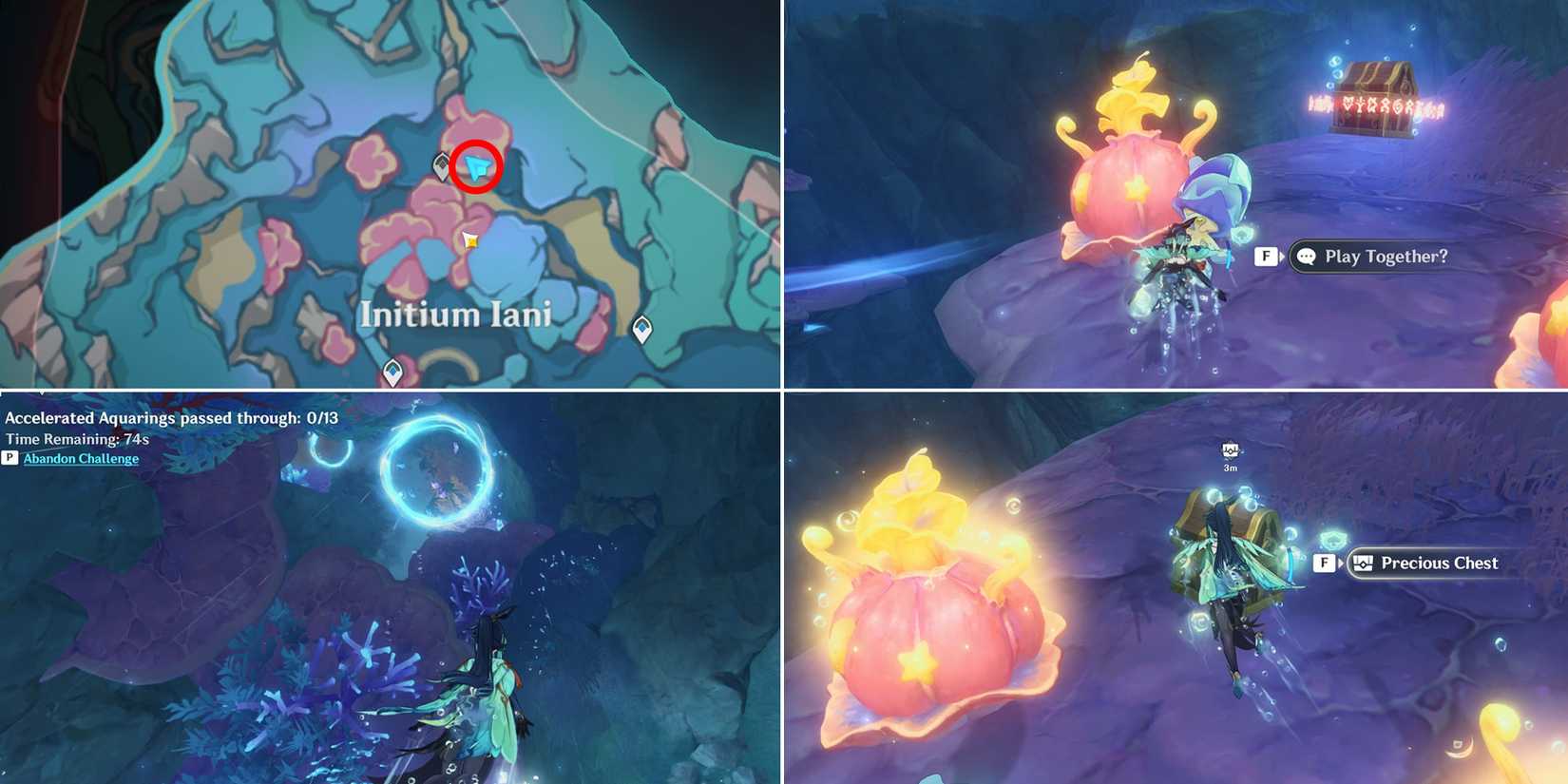 initium iani and hortus euergetis chest location 5 in genshin impact