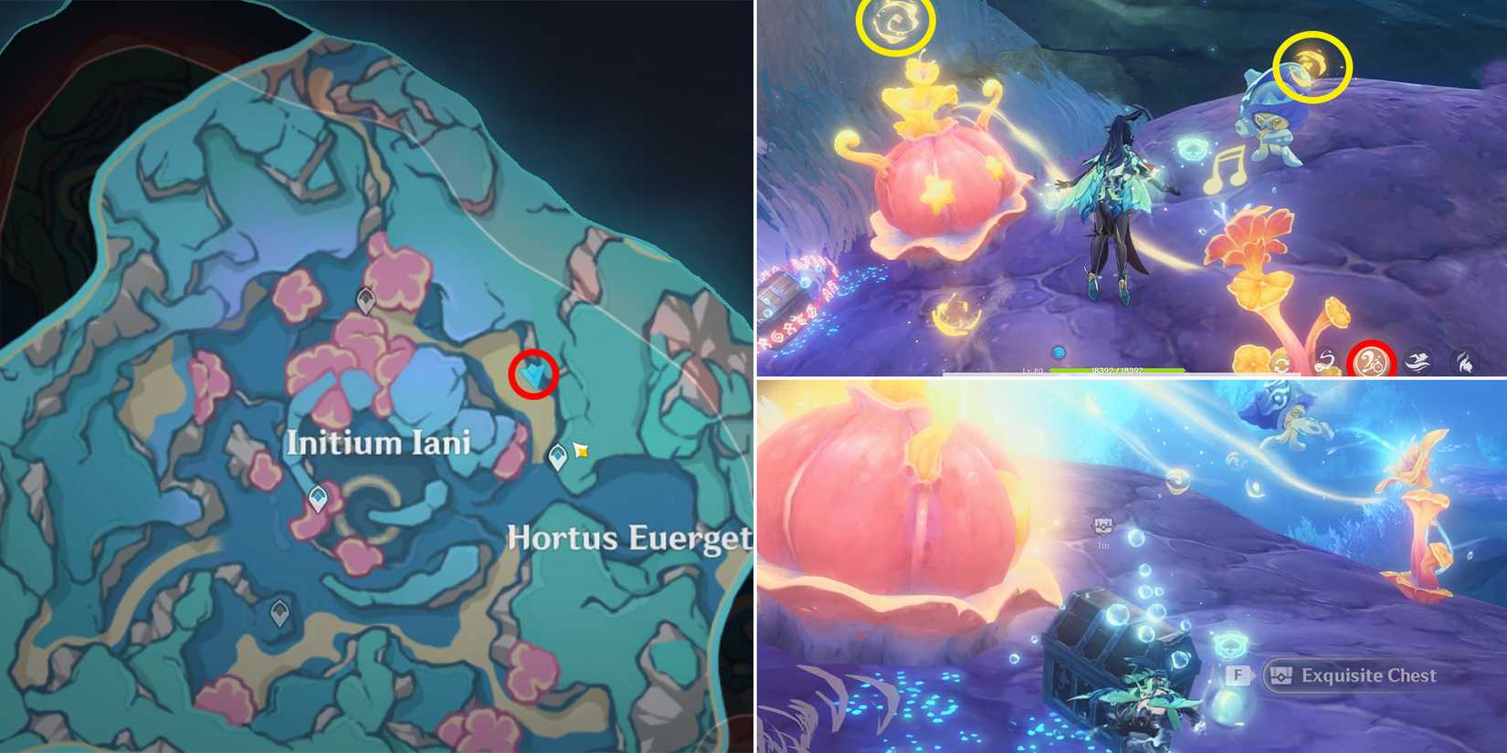 initium iani and hortus euergetis chest location 6 in genshin impact