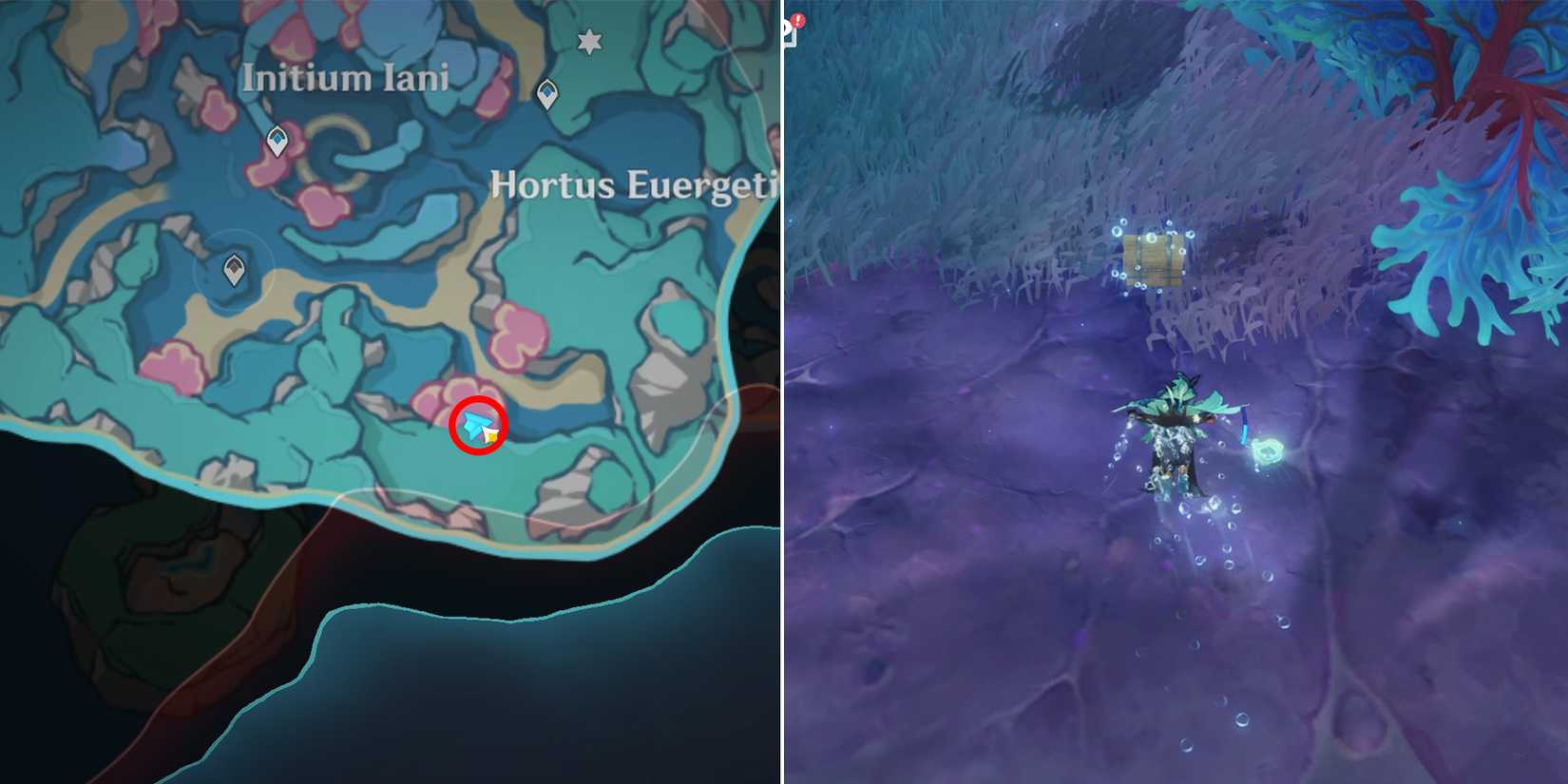 initium iani and hortus euergetis chest location 8 in genshin impact