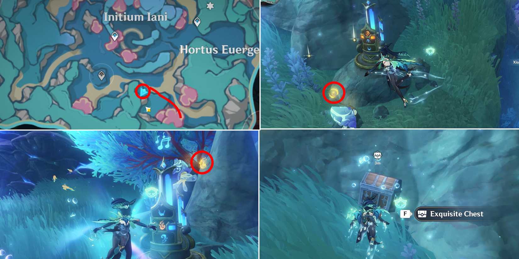 initium iani and hortus euergetis chest location 9 in genshin impact
