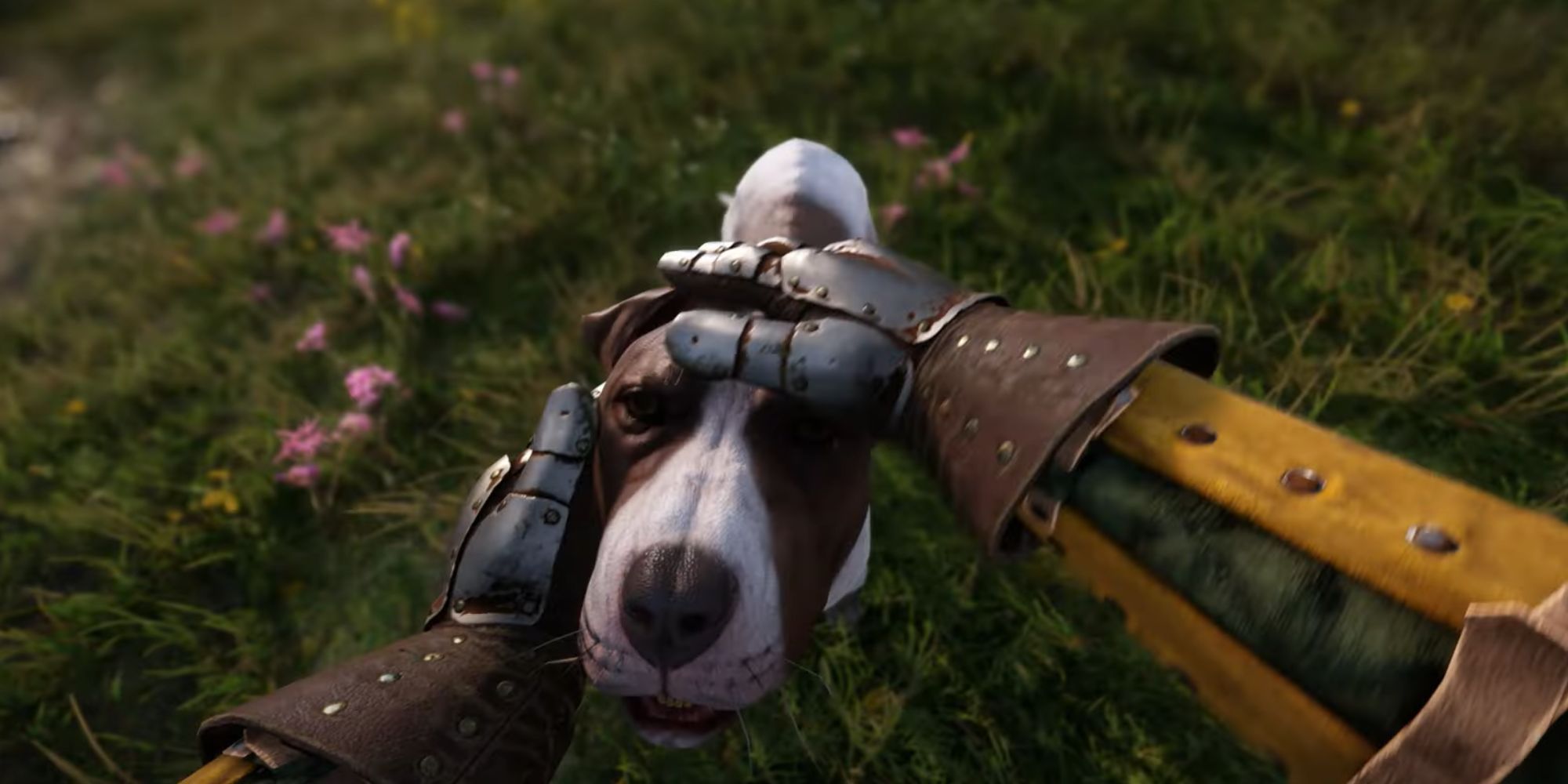 Patting Mutt the Dog in Kingdom Come Deliverance 2 