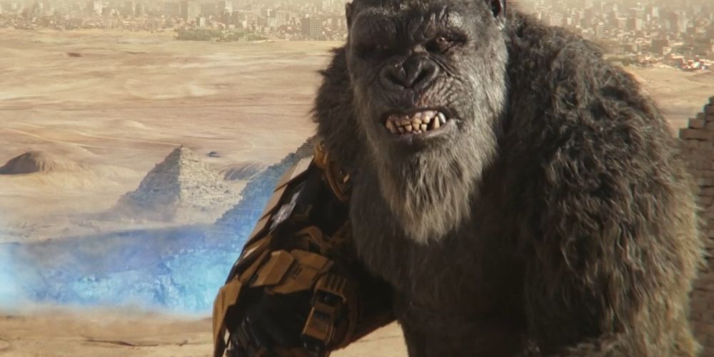 Kong in Egypt, ready to face Godzilla.