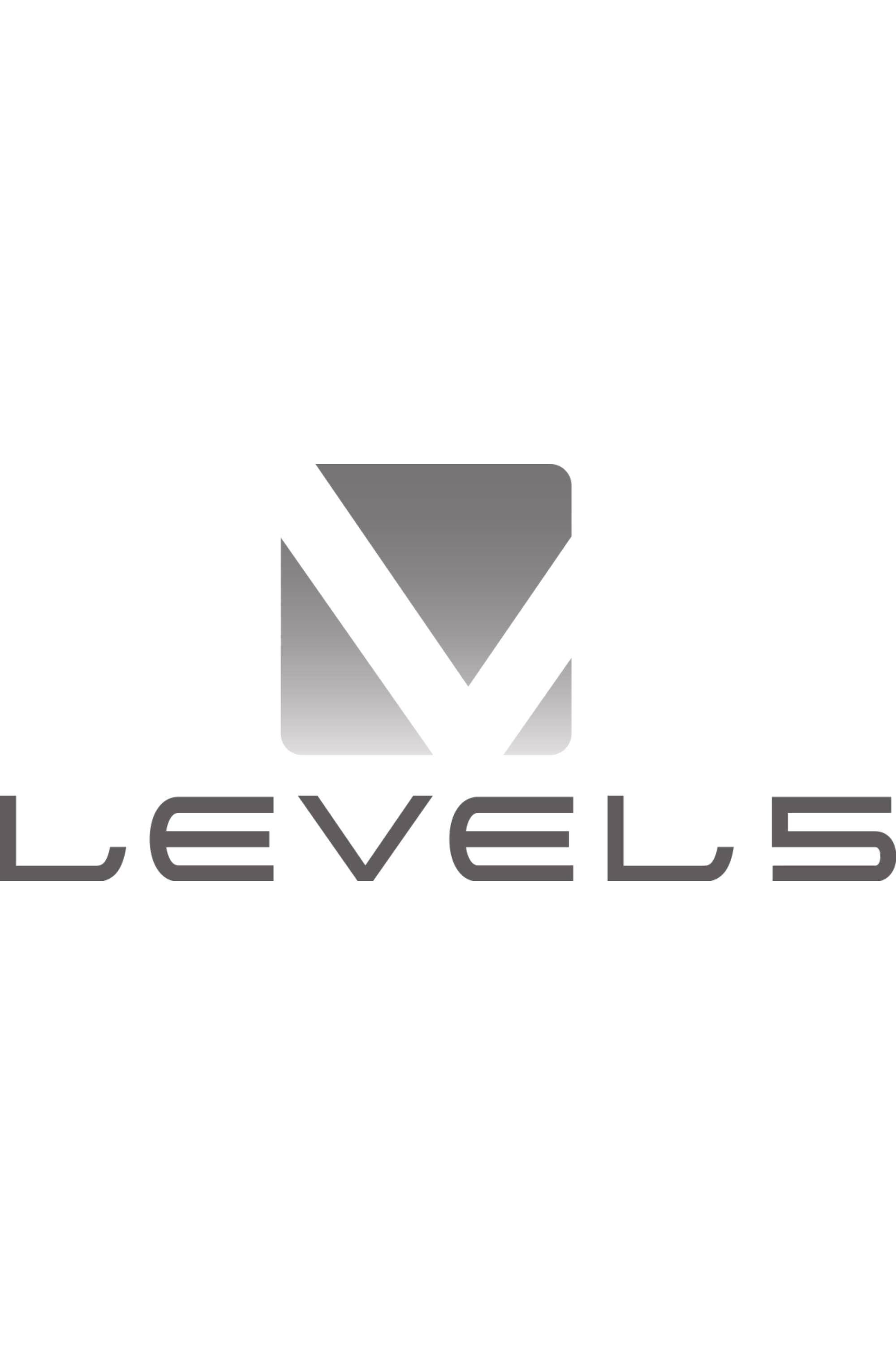 Level 5