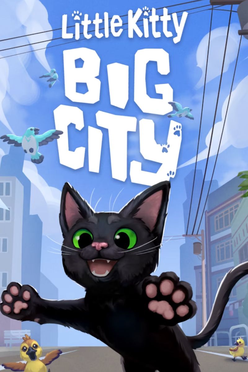 little kitty big city