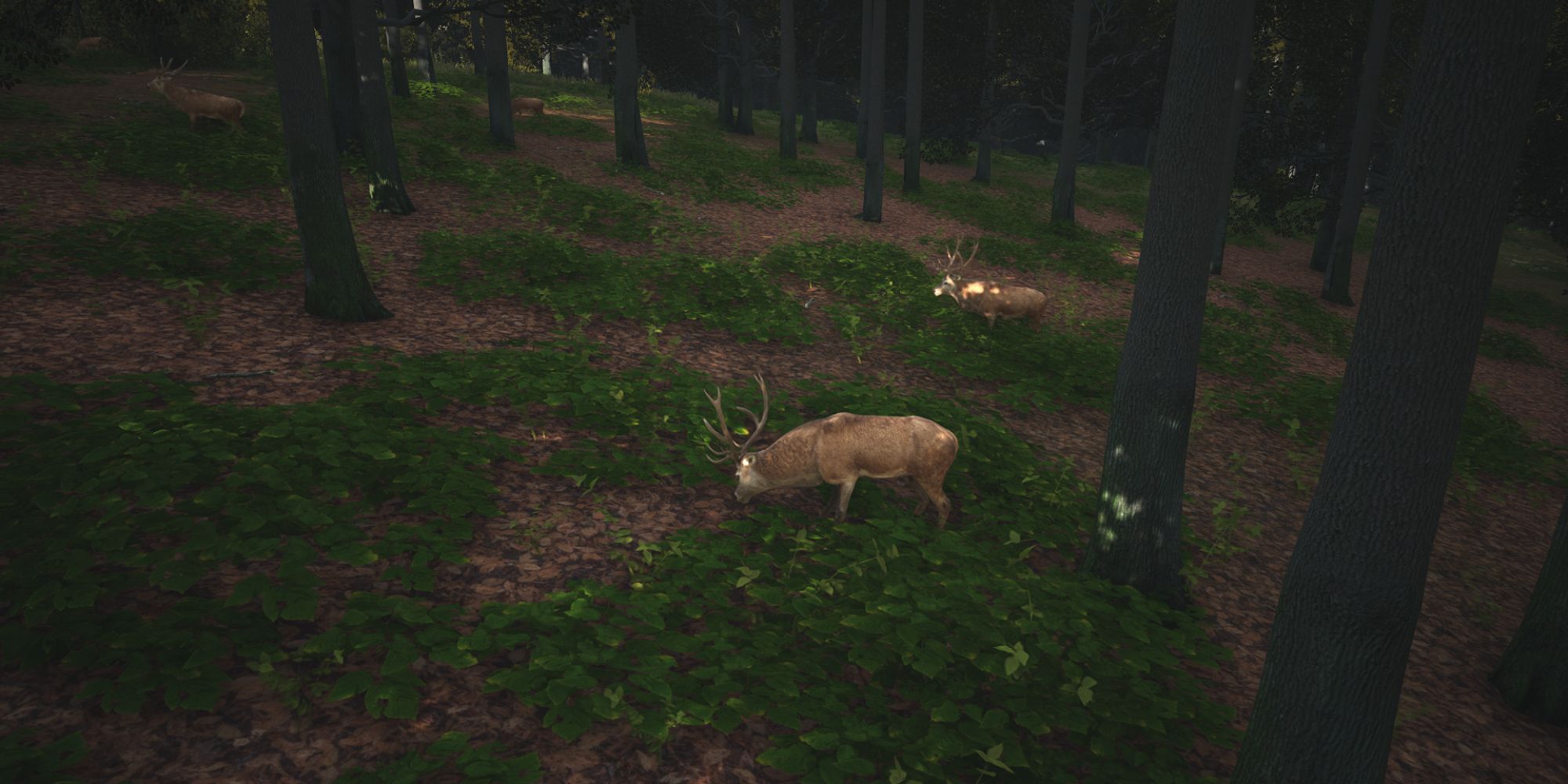 Manor Lords Deer in the woods