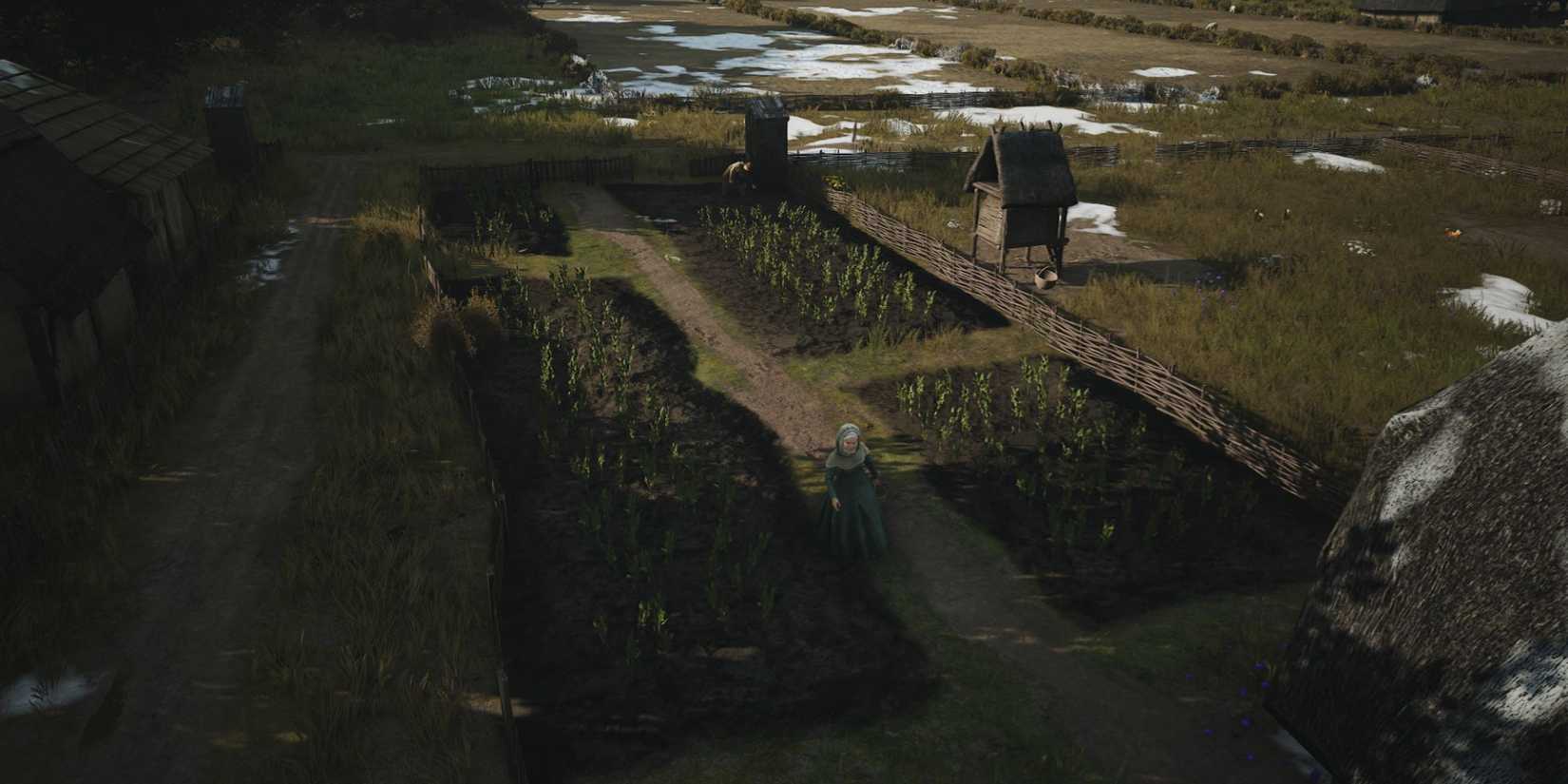 Manor Lords Vegetable Garden