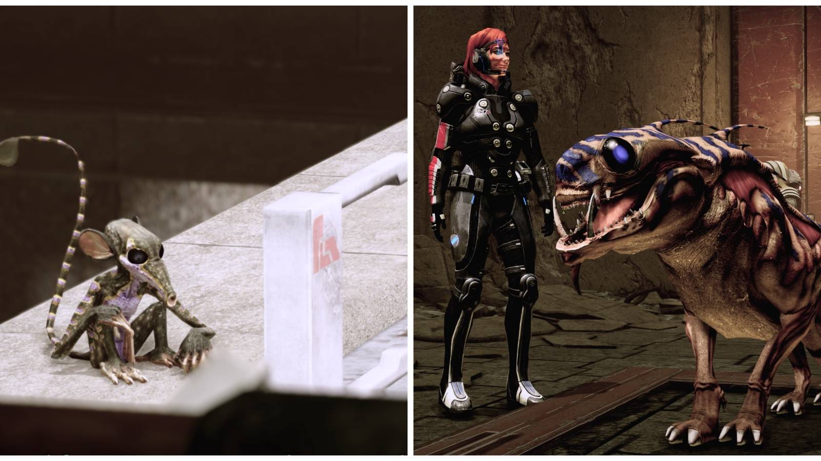 animals on tuchanka in mass effect 2