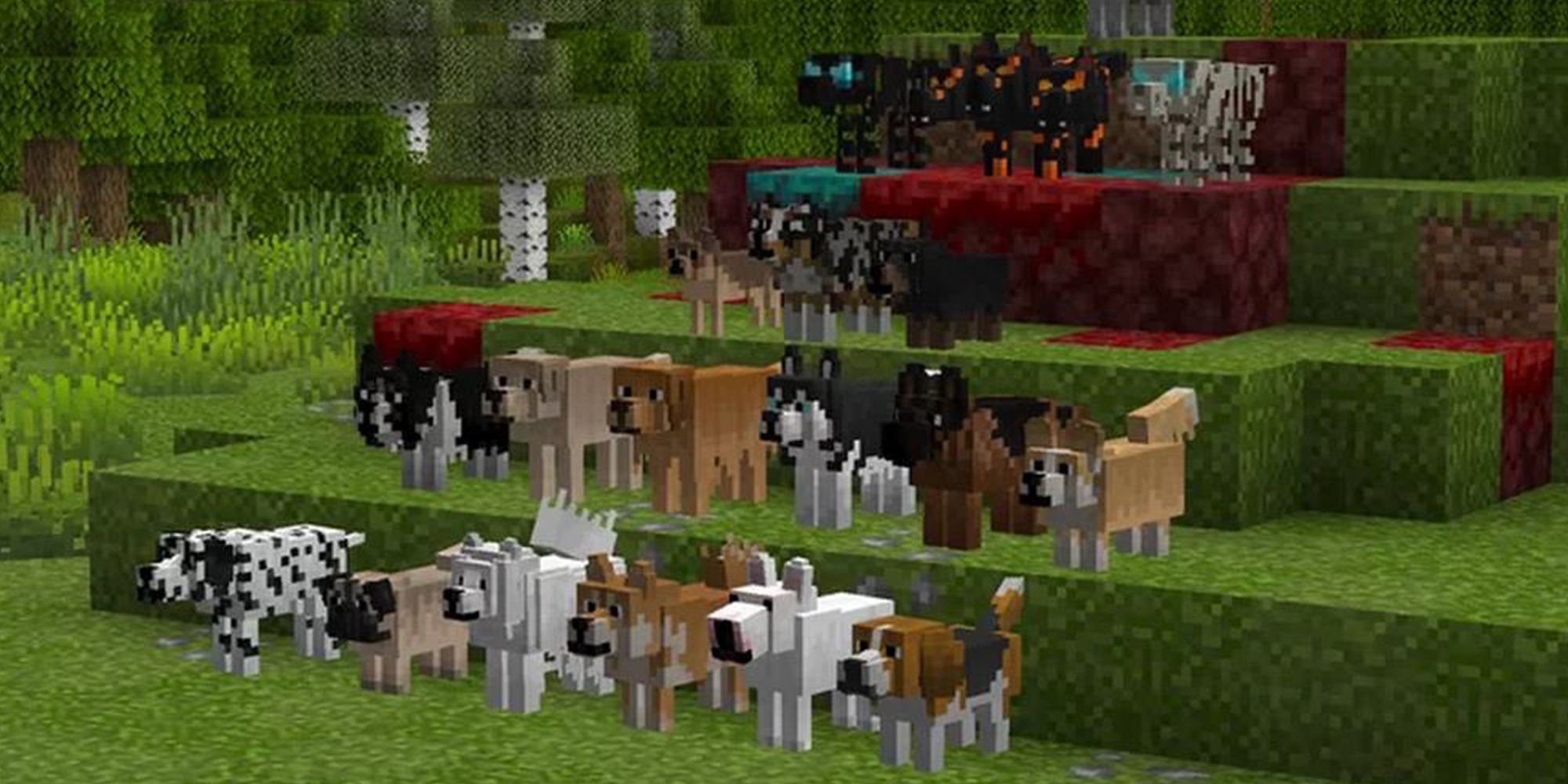 Better Dogs Texture Pack in Minecraft 