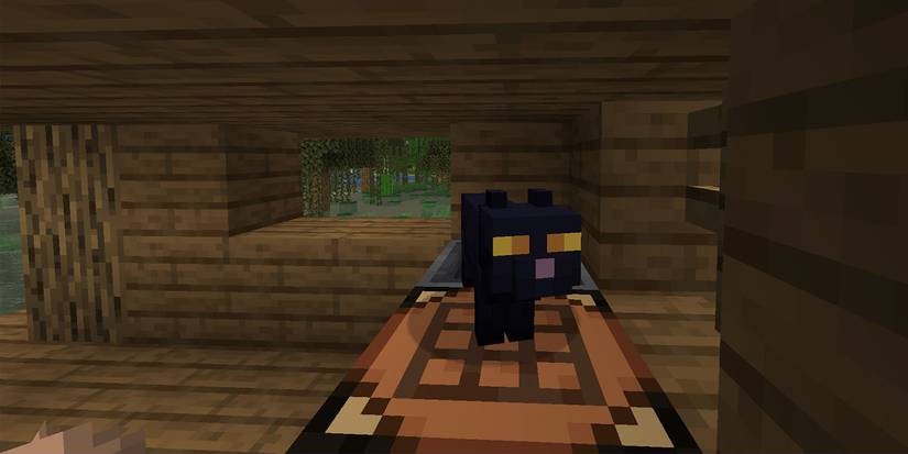 Minecraft Cat Black