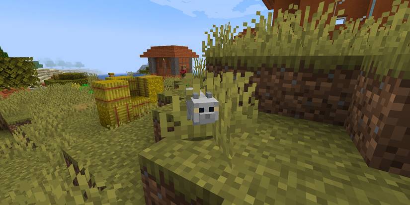Minecraft Cat British Shorthair