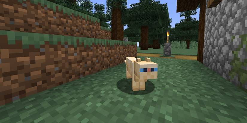Minecraft Cat Persian