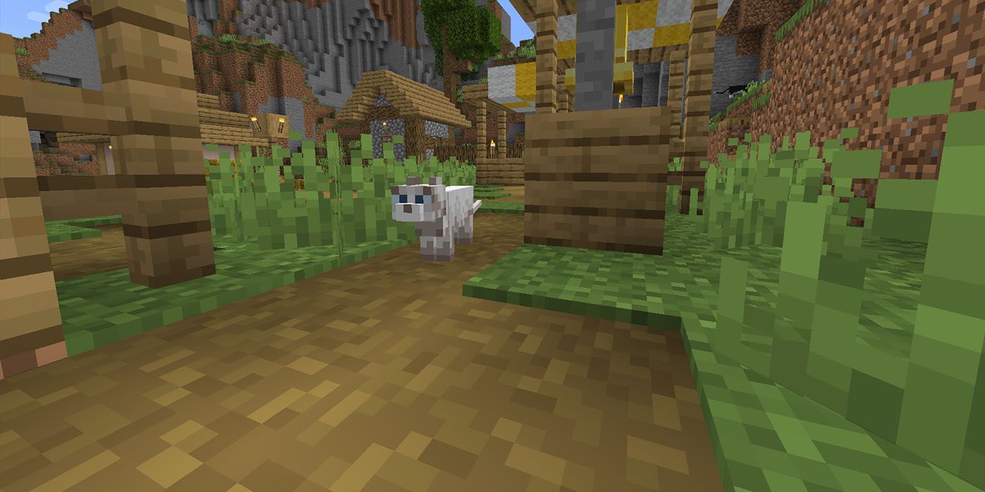 Minecraft Cat Ragdoll