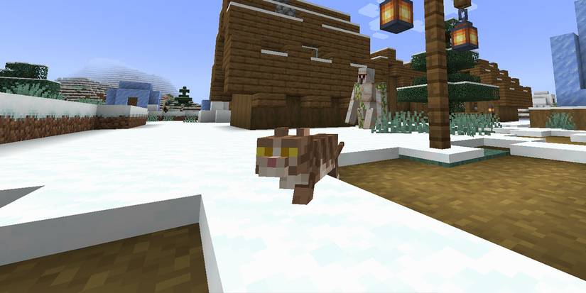 Minecraft Cat Tabby