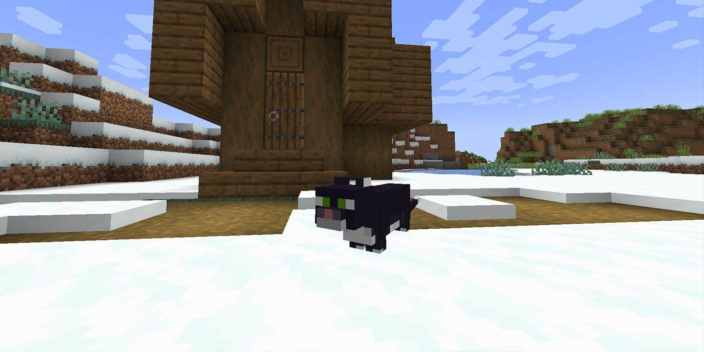 Minecraft Cat Tuxedo