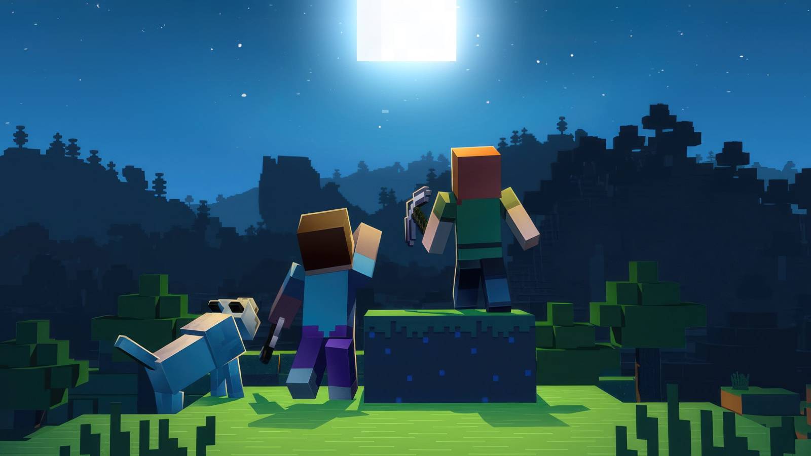 Minecraft Exploration At Night