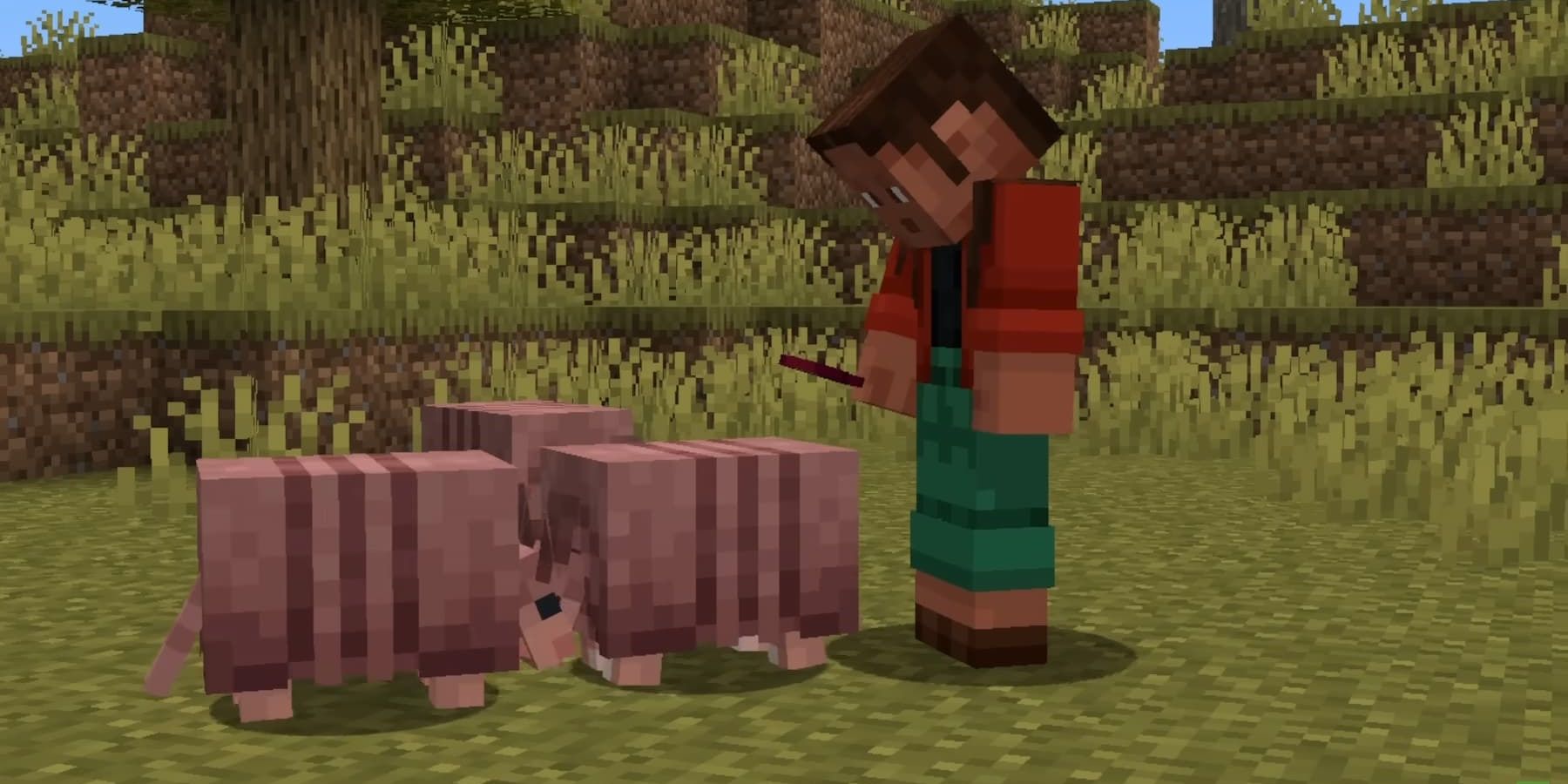 Minecraft Player Spends Three Years Collecting Extremely Rare Armor Set