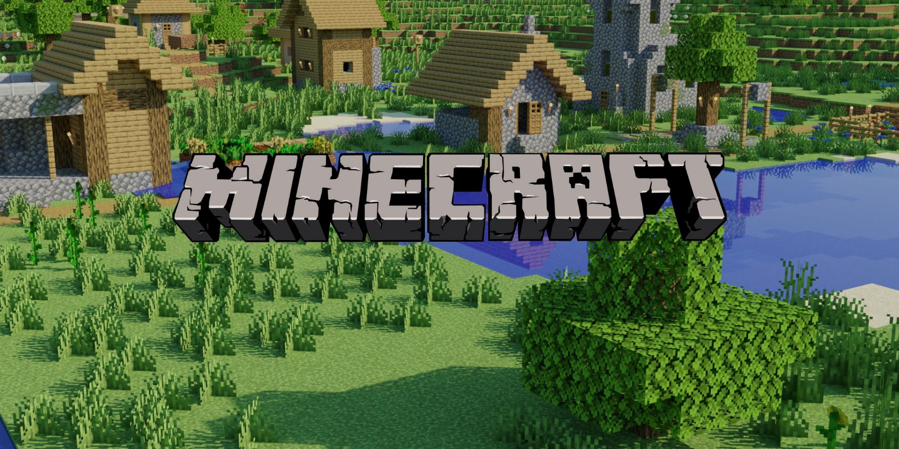 A Minecraft Village and Logo
