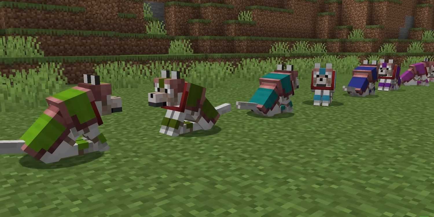 Minecraft Wolves 2025 What to Expect From Minecraft in 2025