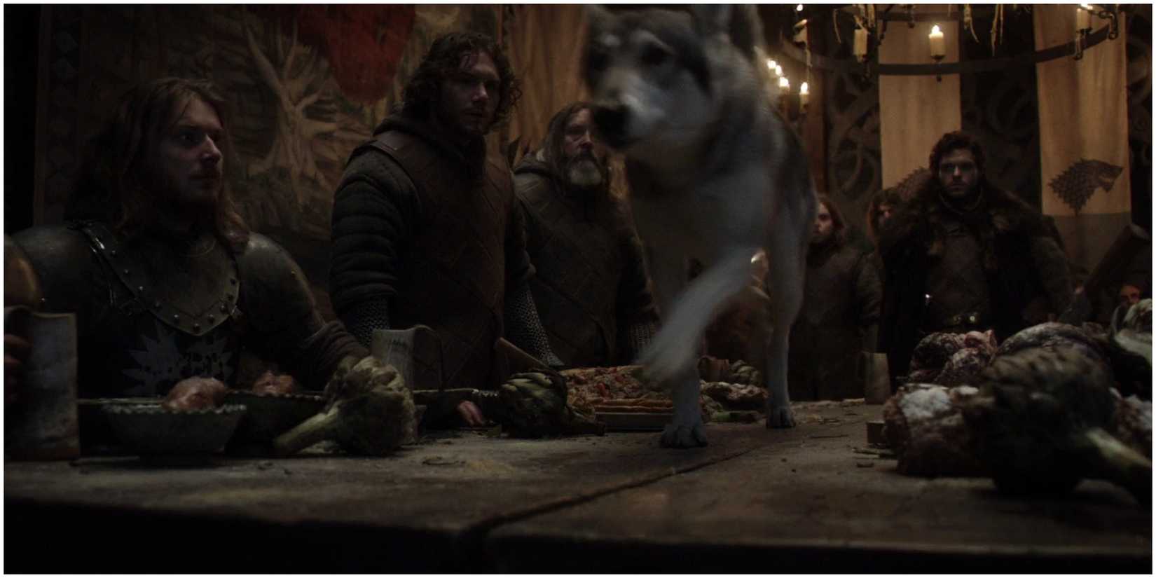 Robb Stark's Grey Wind in Game of Thrones.