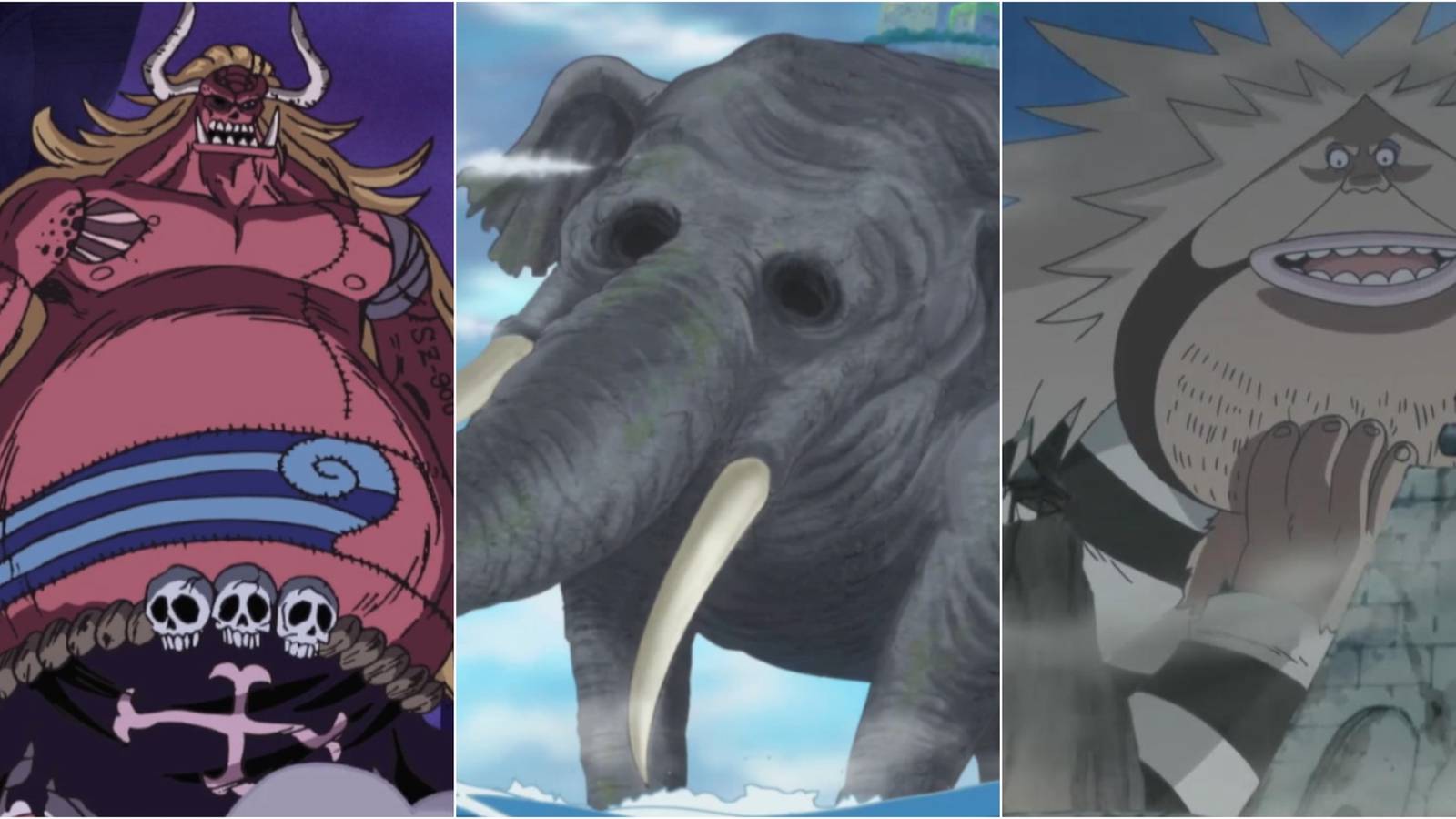 Oars, Zunesha and Sanjuan Wolf